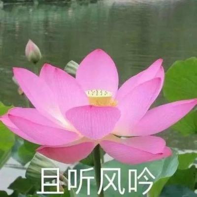 平安健康(1833.HK)：北水资金持续加仓，平安家医强势升级